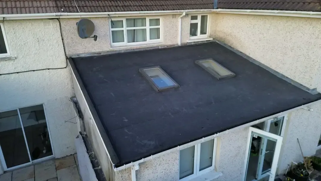 Dark flat roof with two rooflights