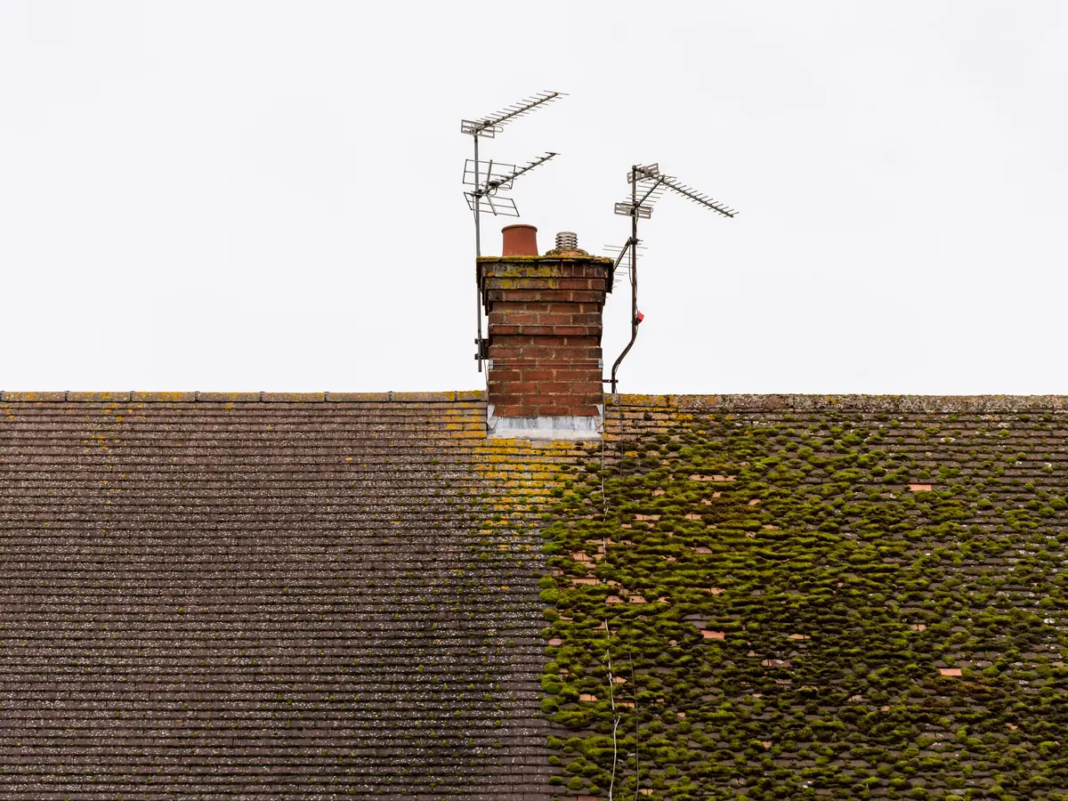 Chimney Repairs & Leadwork in Kill photo 3