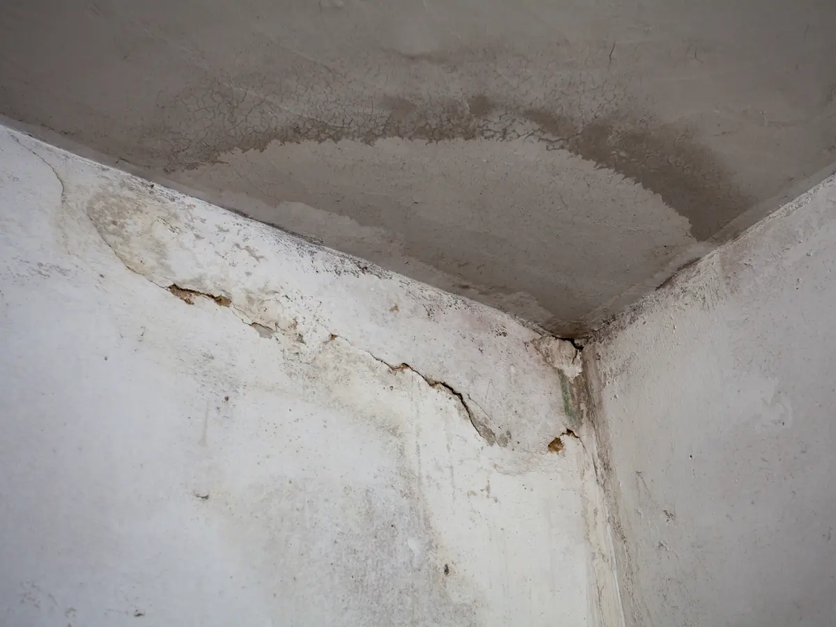 Damp Proofing by Dublin Roofing Company
