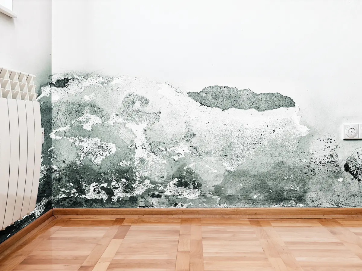 Damp Proofing by Dublin Roofing Company