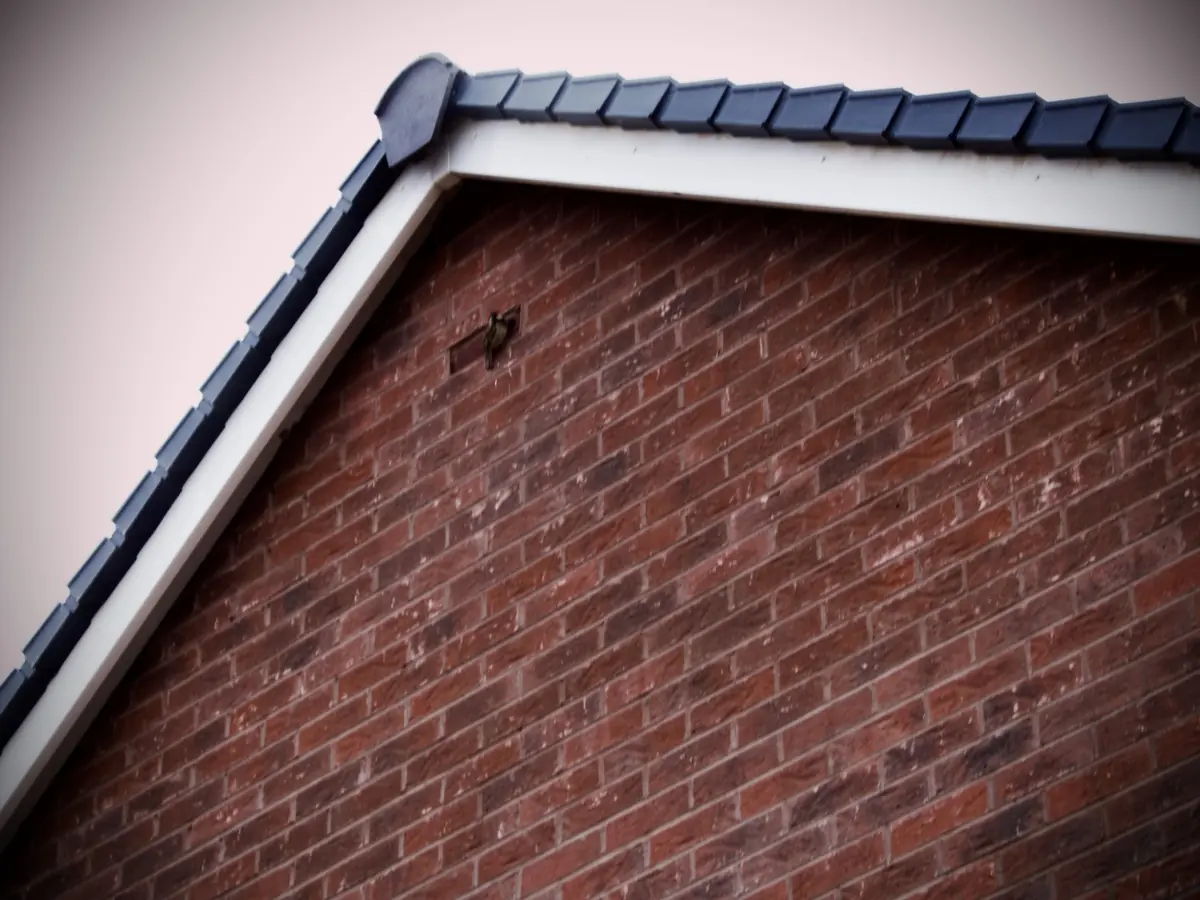 Dry Verge by Dublin Roofing Company
