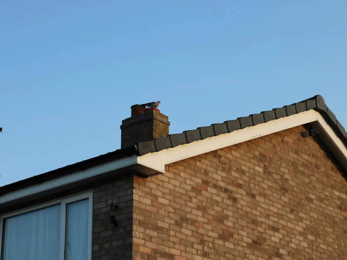 Fascias, Soffits & Guttering in Dun Laoghaire by Dublin Roofing Company