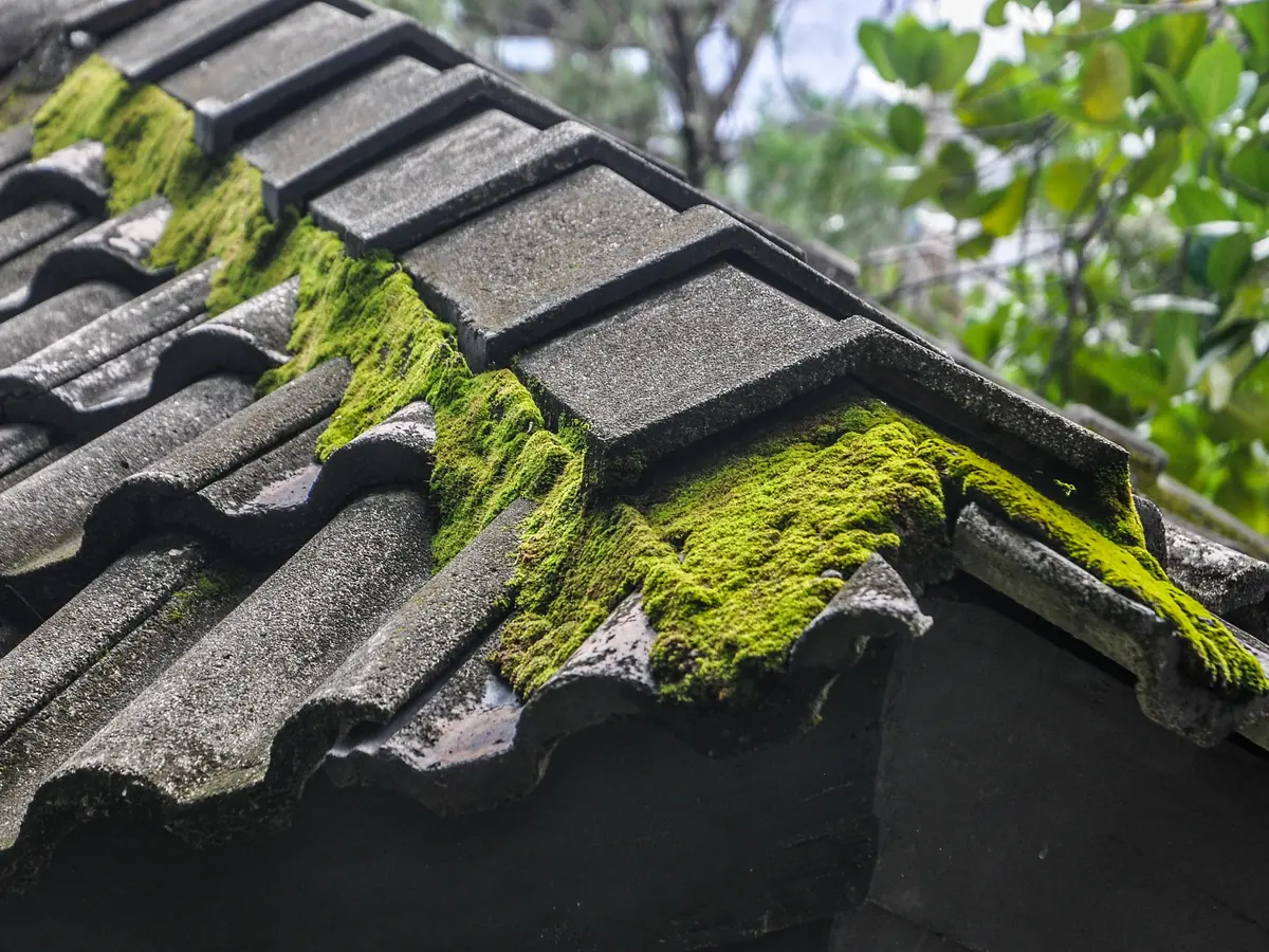 Roof Cleaning by Dublin Roofing Company