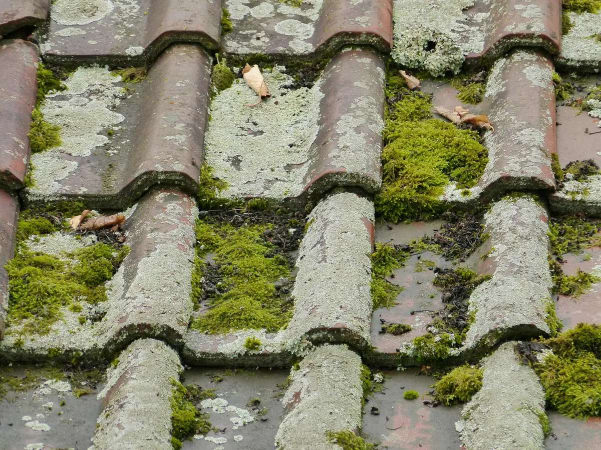 Roof Cleaning by Dublin Roofing Company
