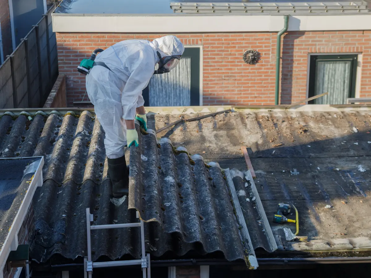 Roof Cleaning & Coating in Blackrock by Dublin Roofing Company